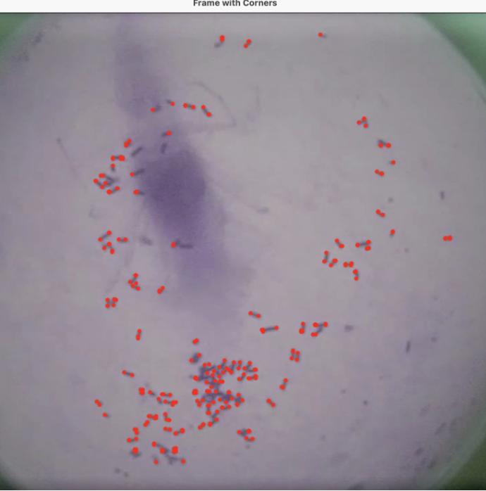 Shrimp Food Detection