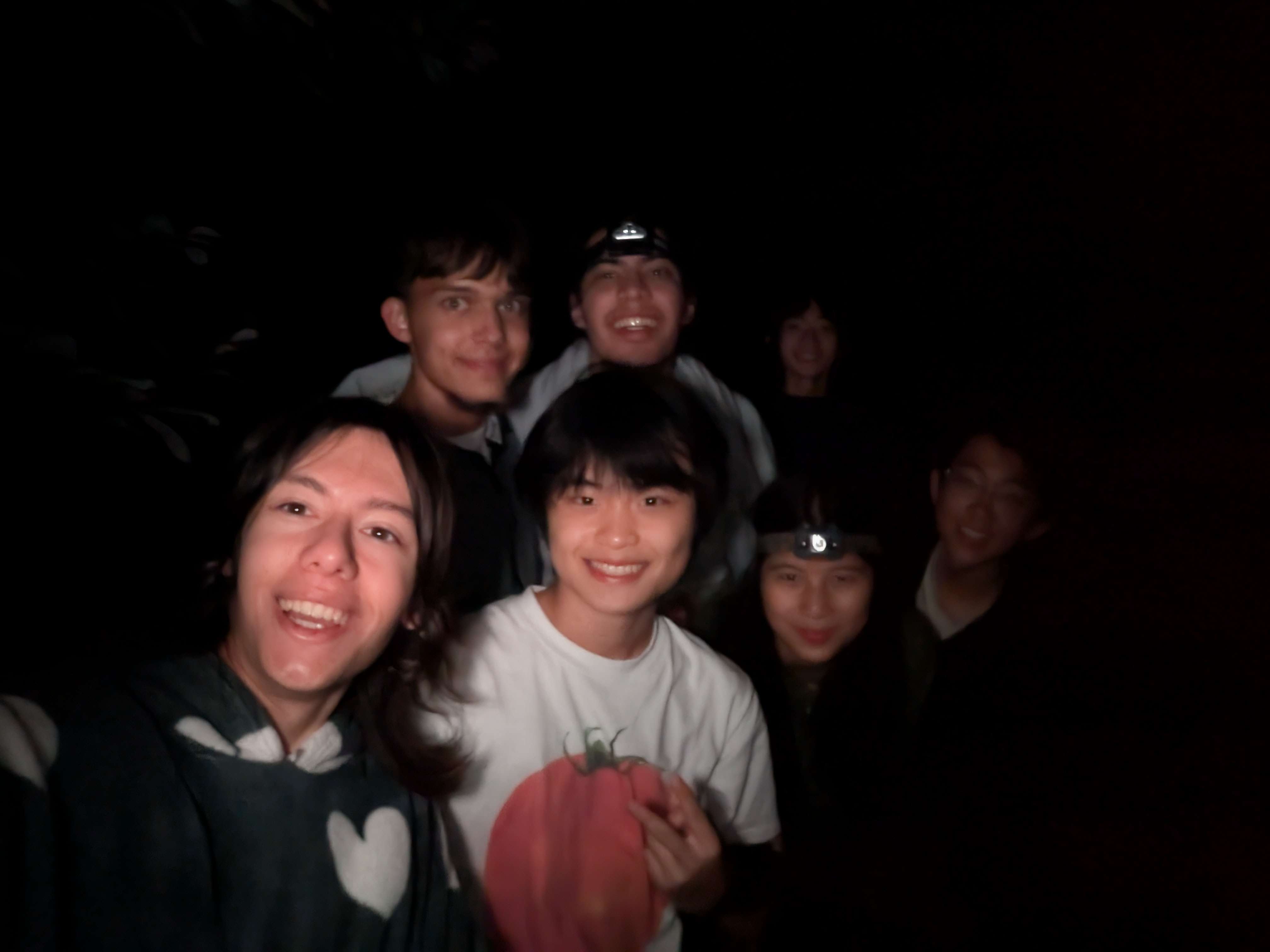 Blog Image 3